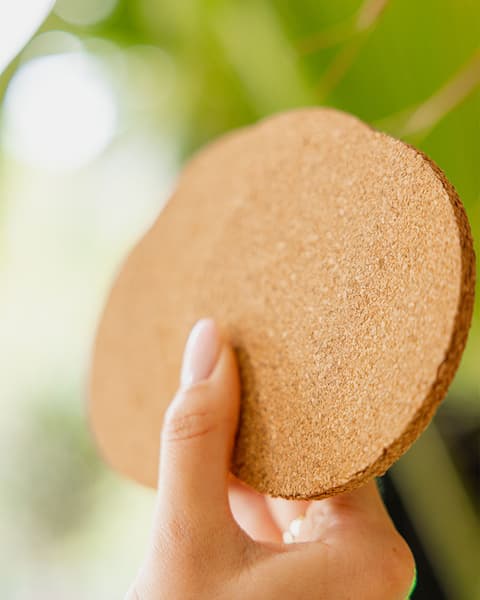 Cork Coaster Set