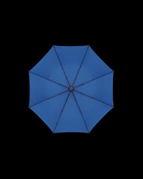 Auto Open Umbrella