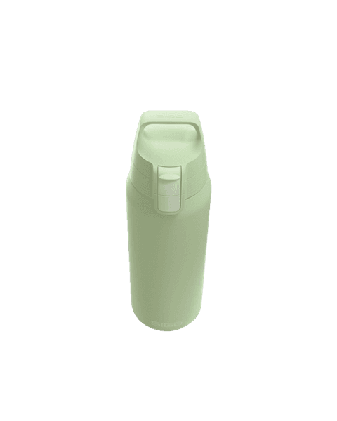 SIGG Stainless Steel 0.75 ml Bottle