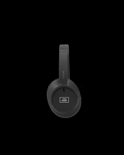 Sony Noise Canceling Headphones