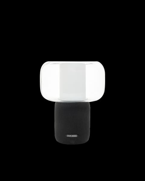 Speaker Lamp