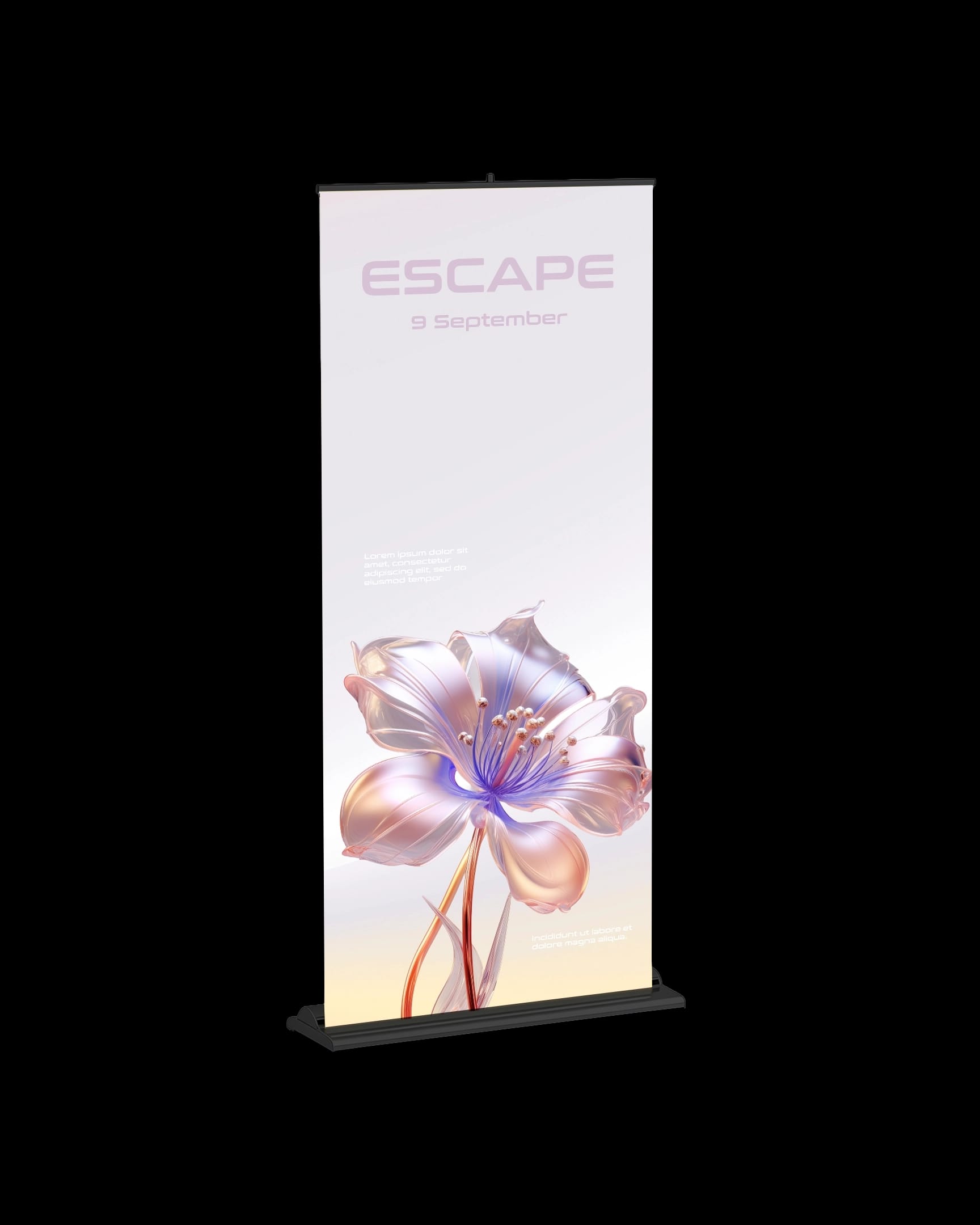 Roll Up Banner