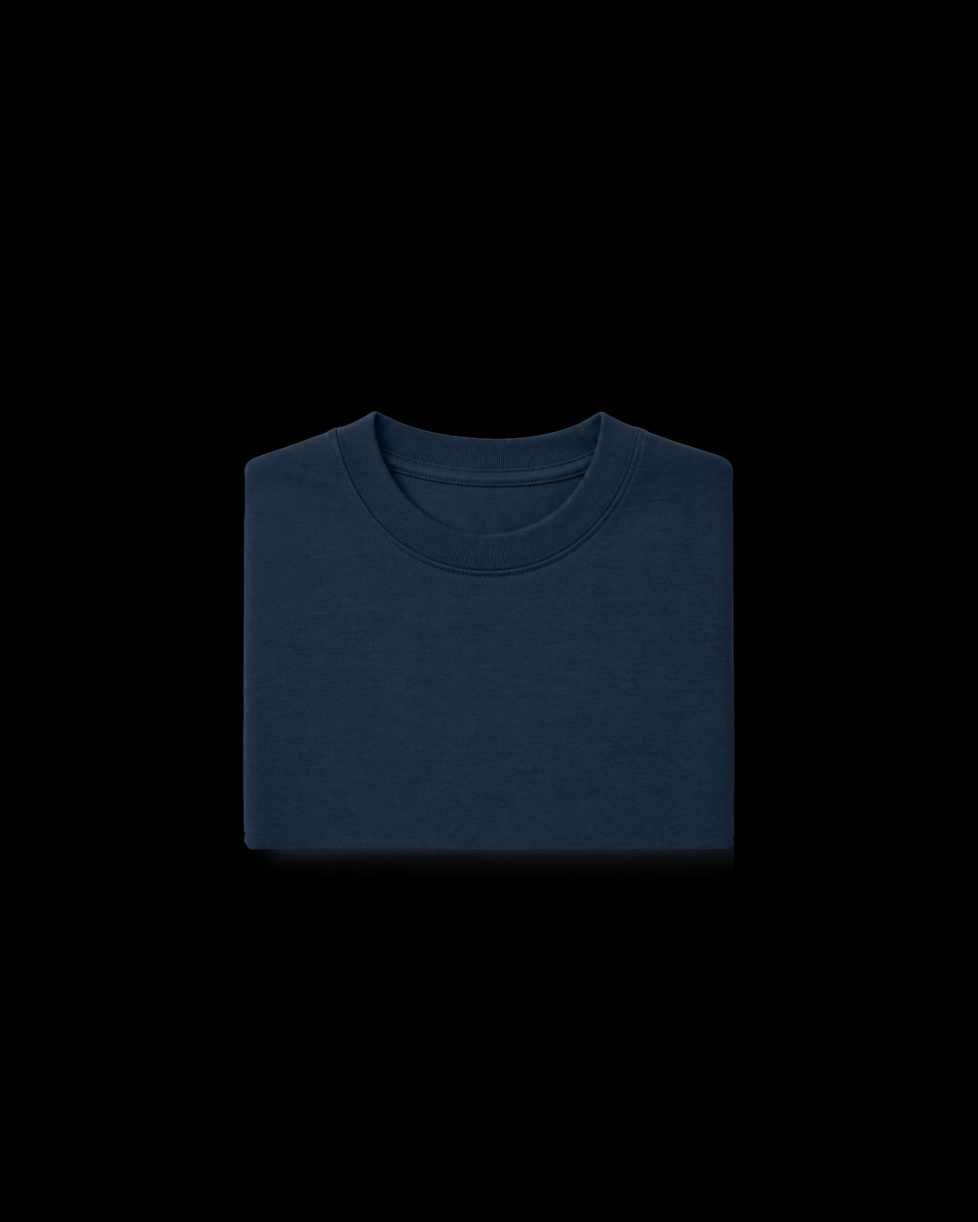 Premium Heavyweight Long Sleeve T-Shirt