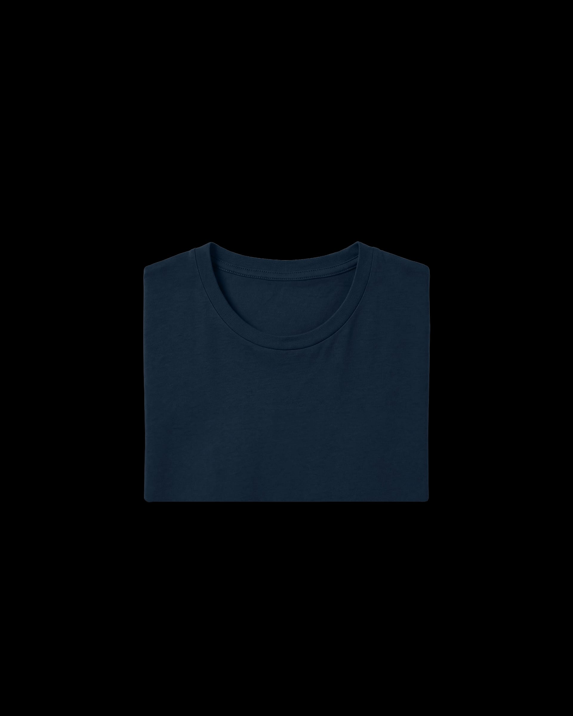 Premium Lightweight T-Shirt