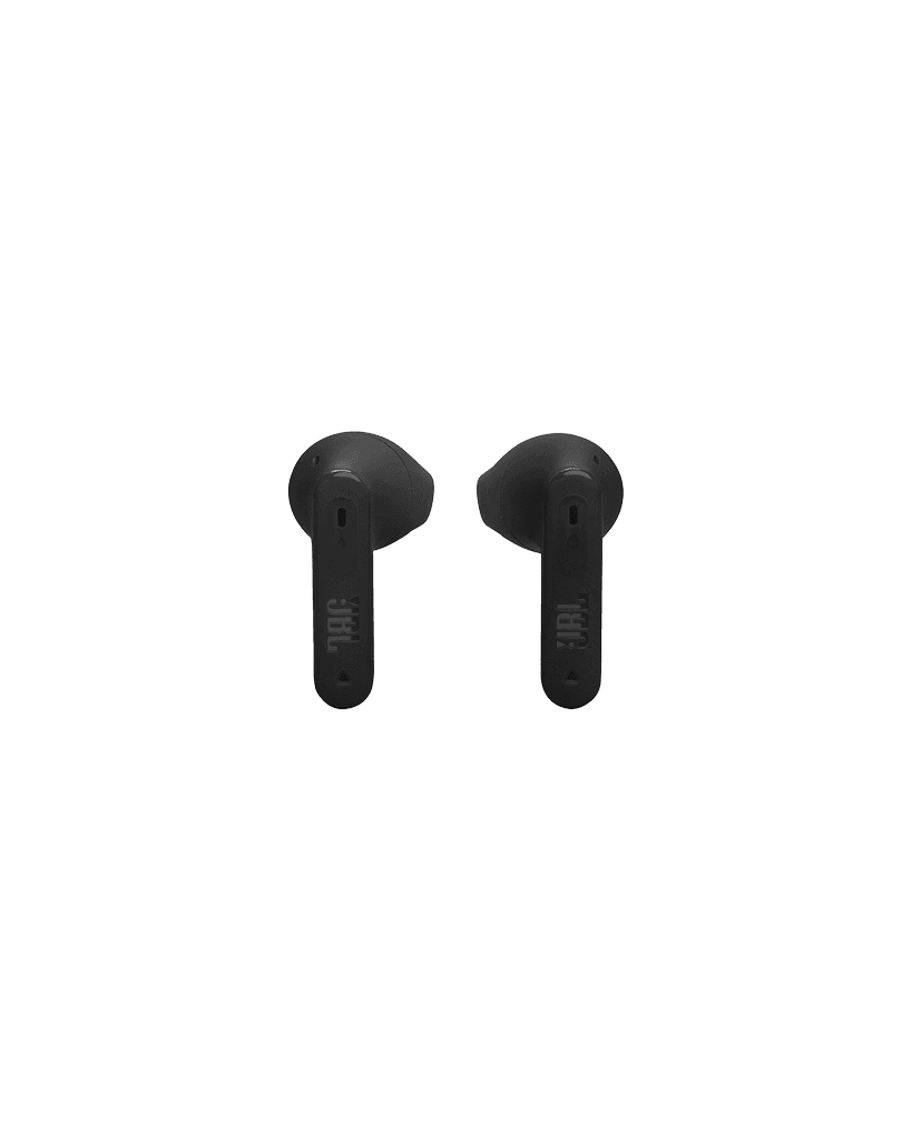 JBL Earplugs
