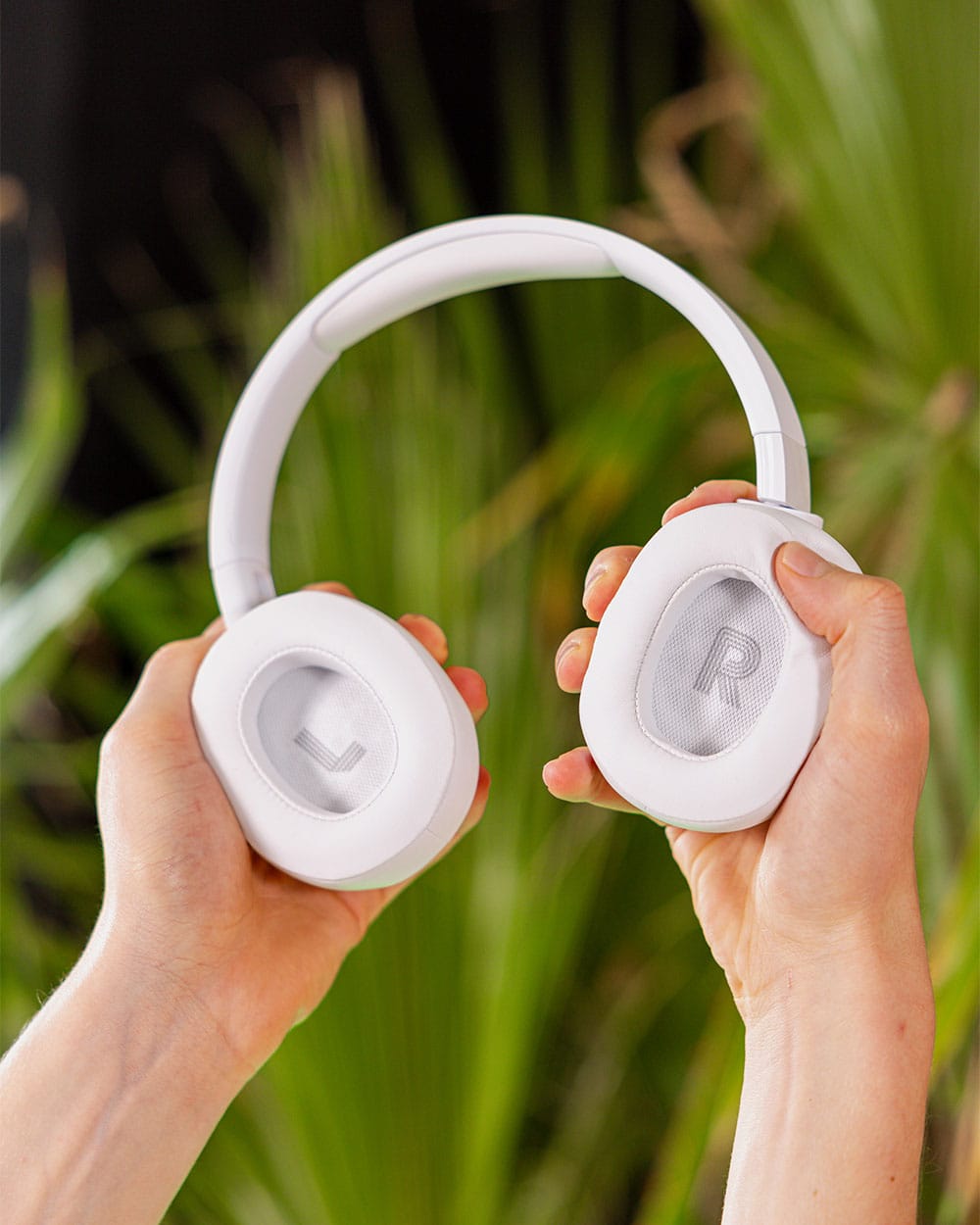 JBL Headphones