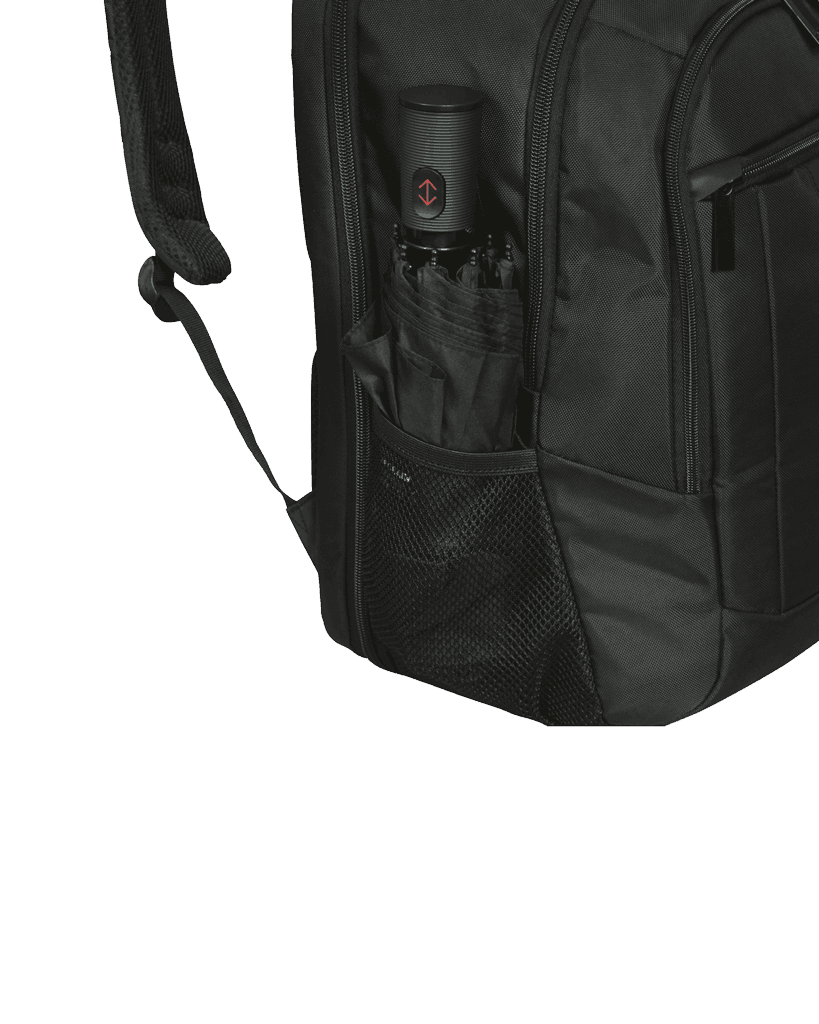 Samsonite Laptop Backpack