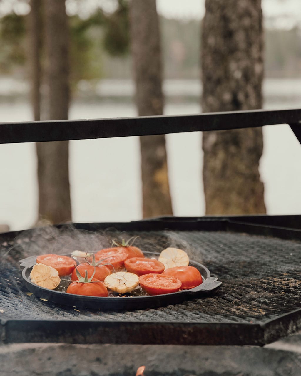 Grill Plate