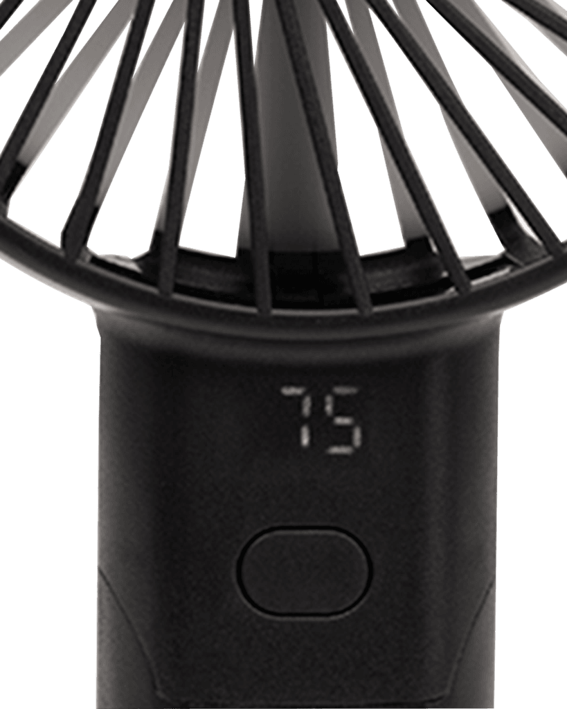 Hand Fan