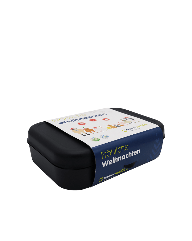 Koziol Pascal Lunchbox – Groß