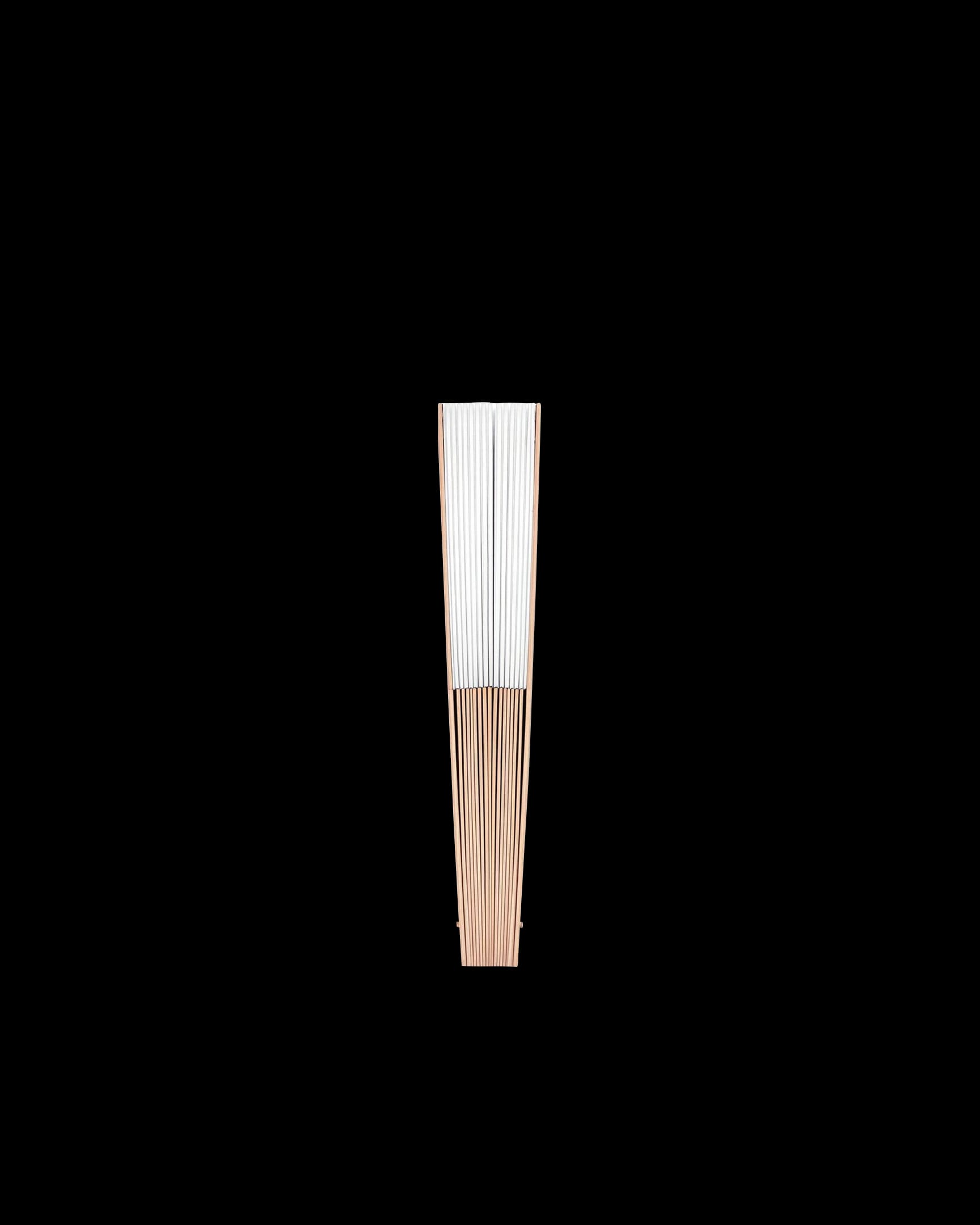 Hand Fan