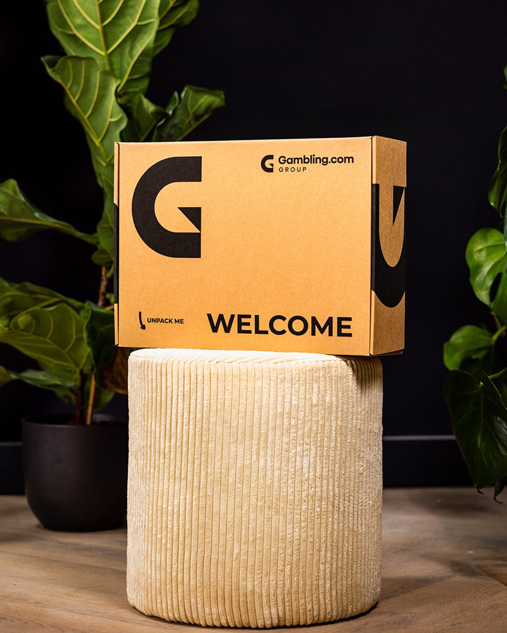 Printed Box