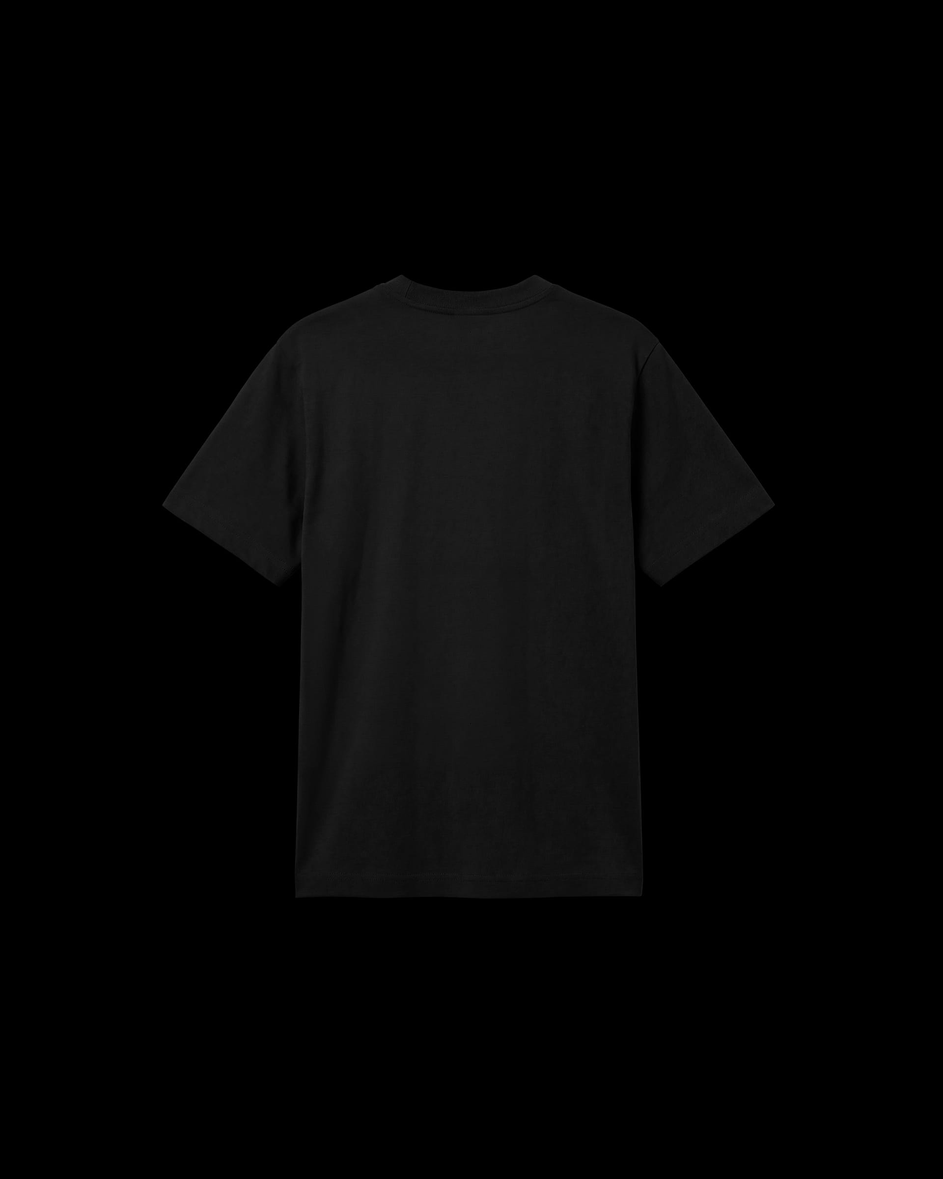 Heavyweight T-Shirt