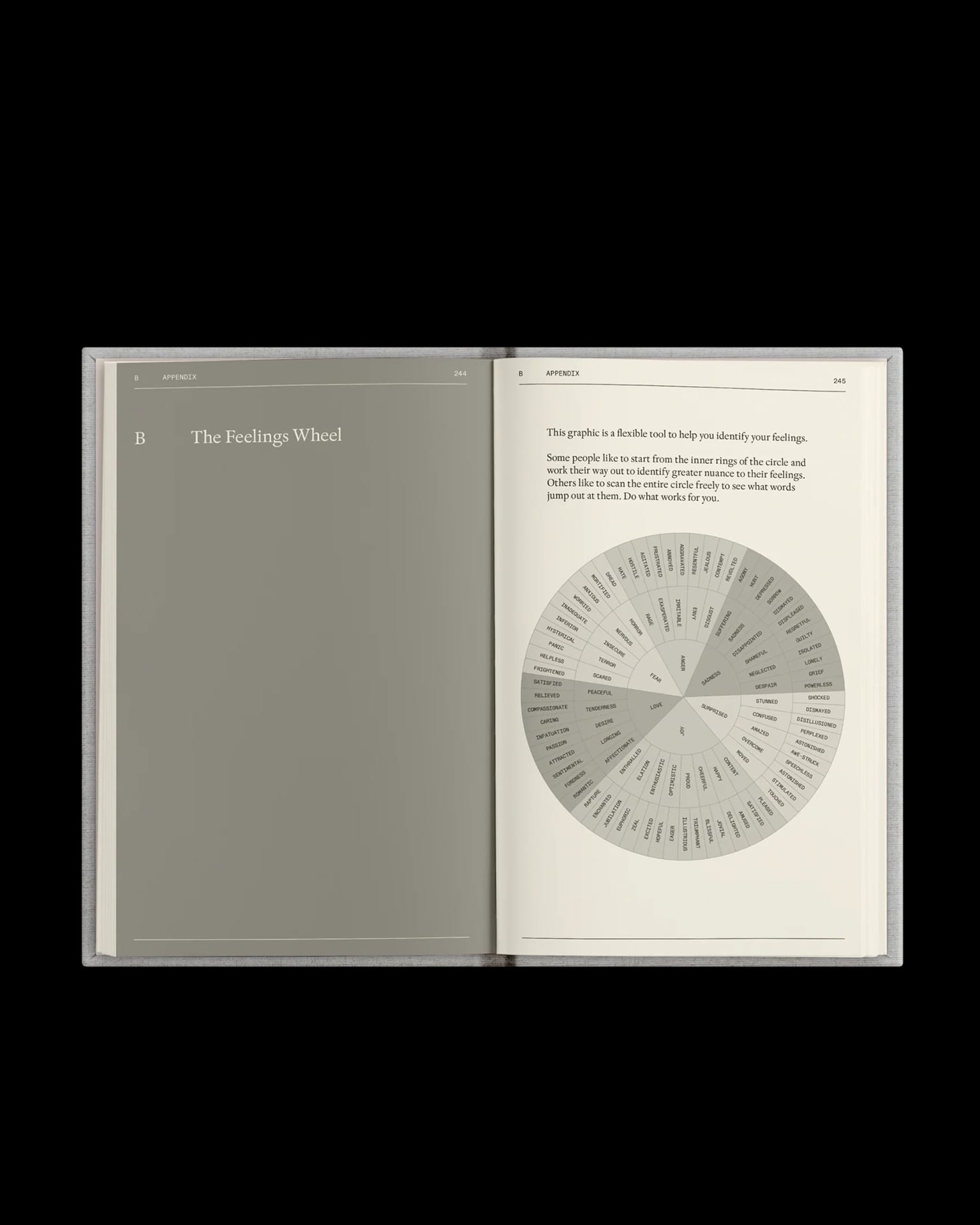 The Therapy Journal