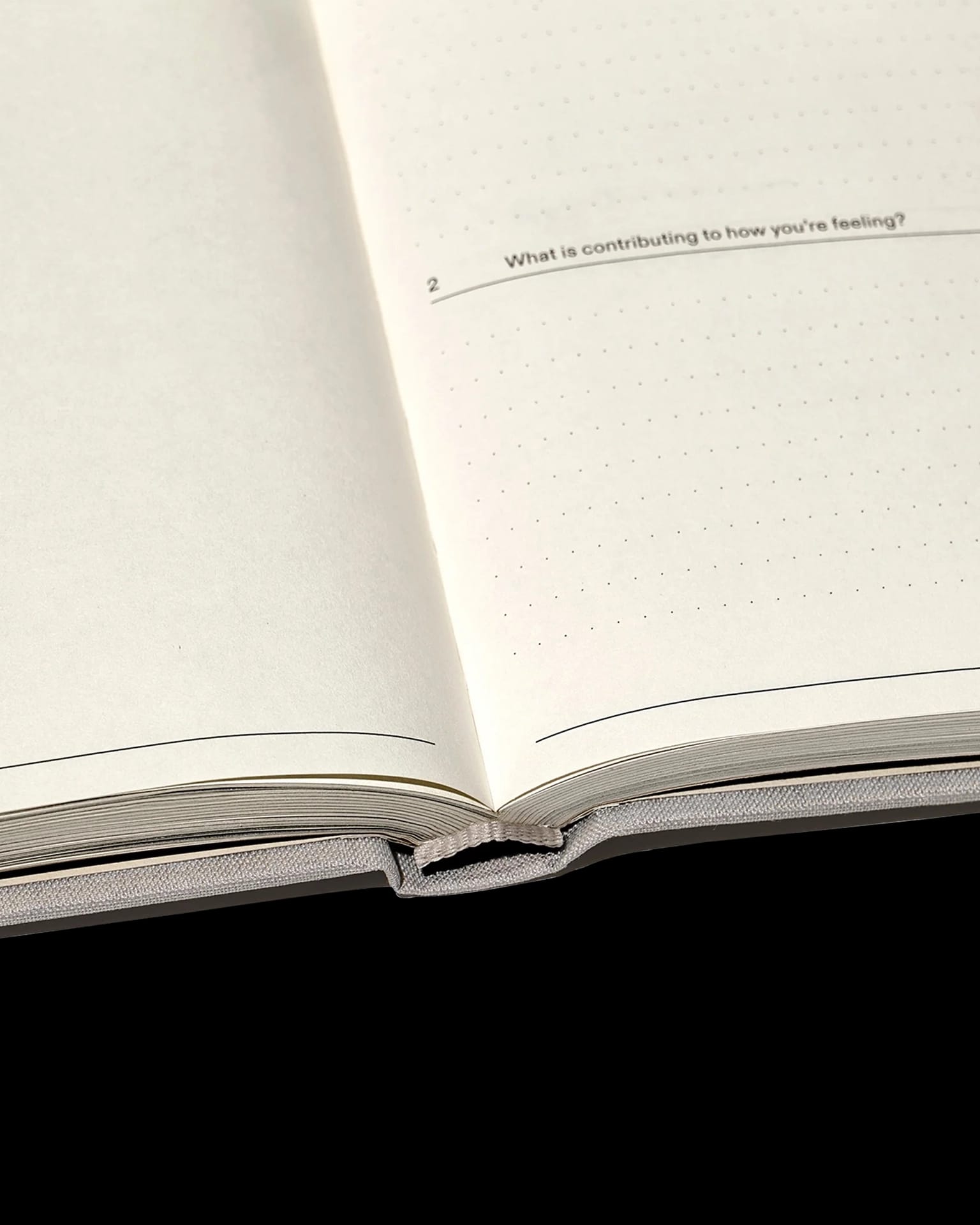 The Therapy Journal