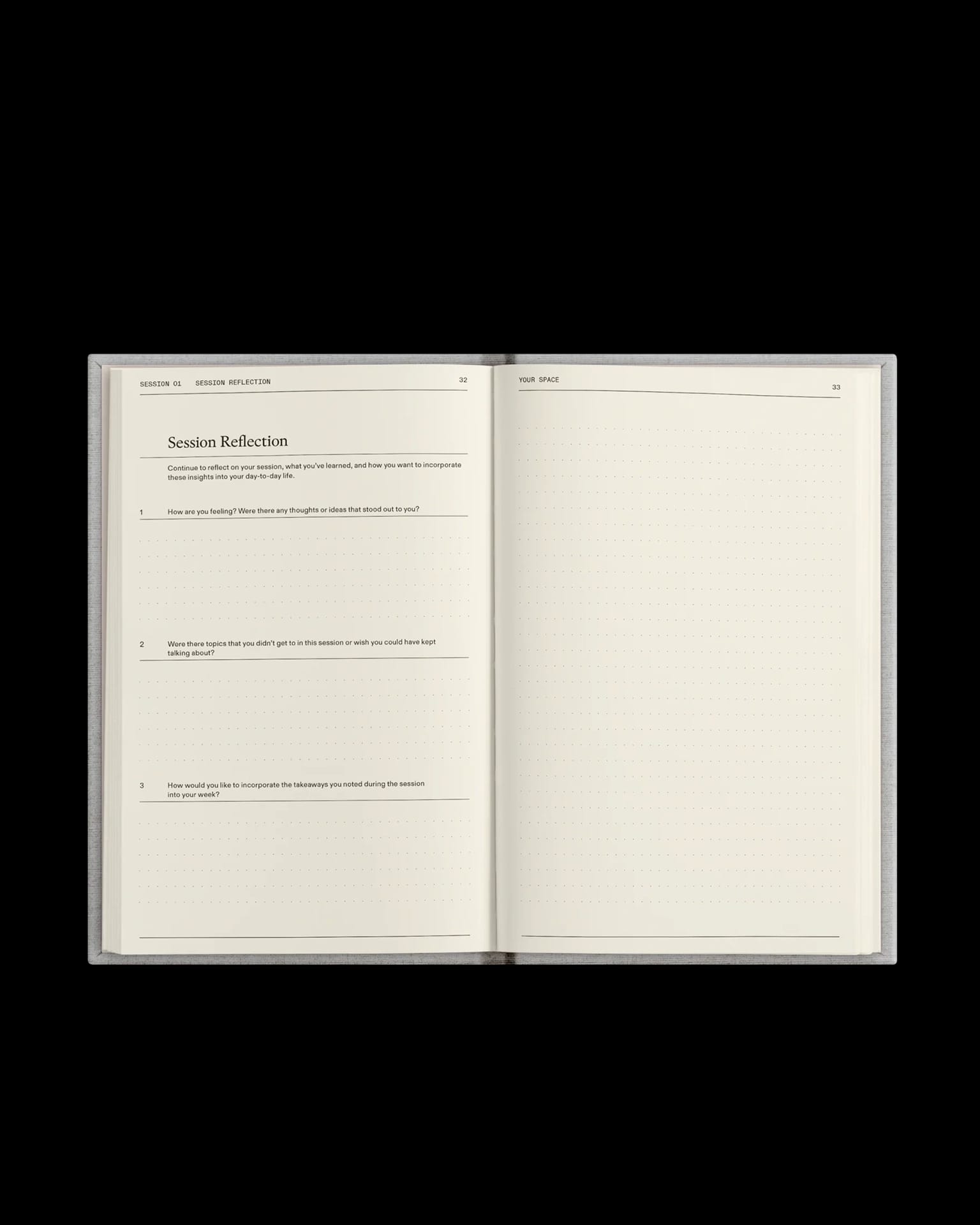 The Therapy Journal