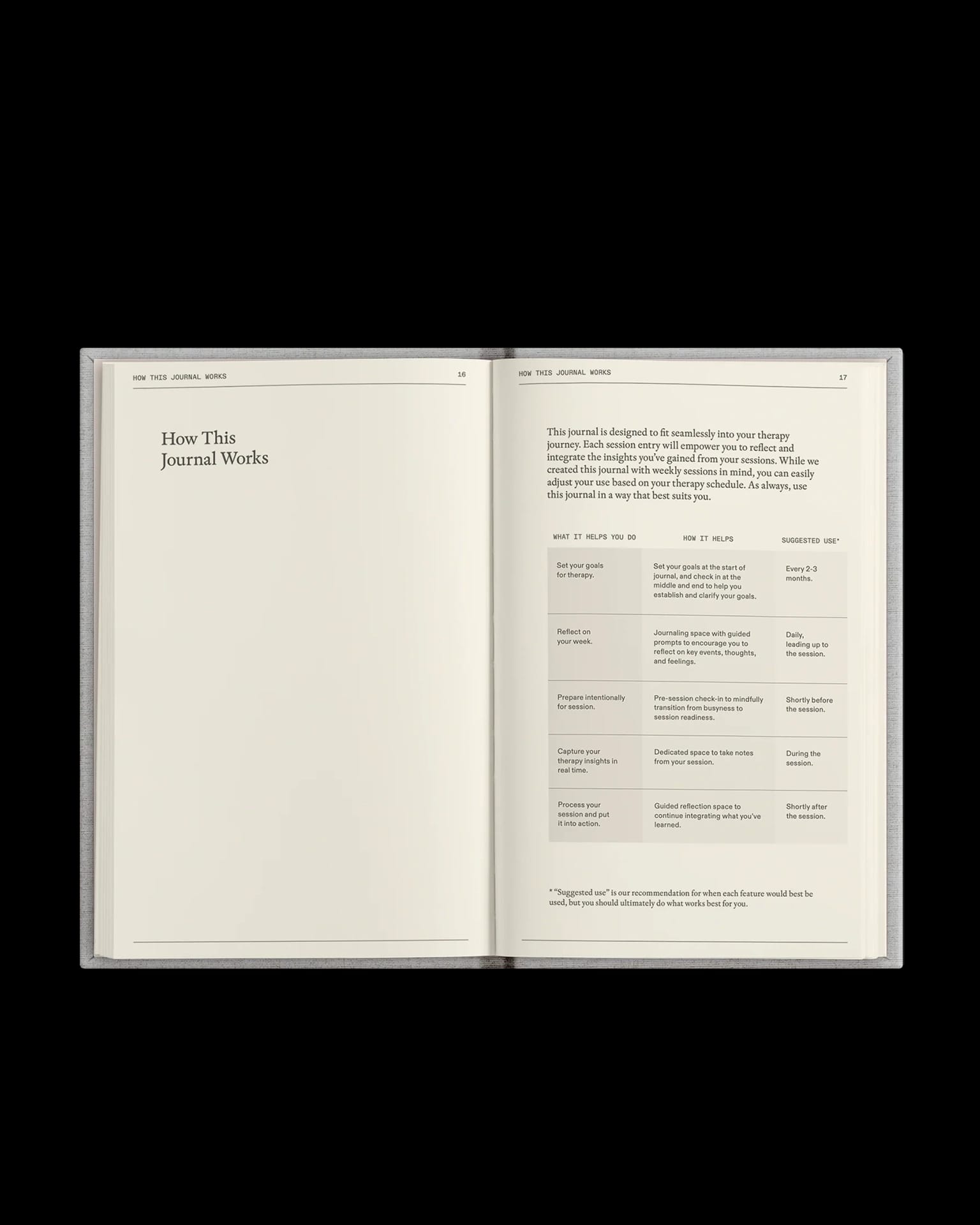 The Therapy Journal