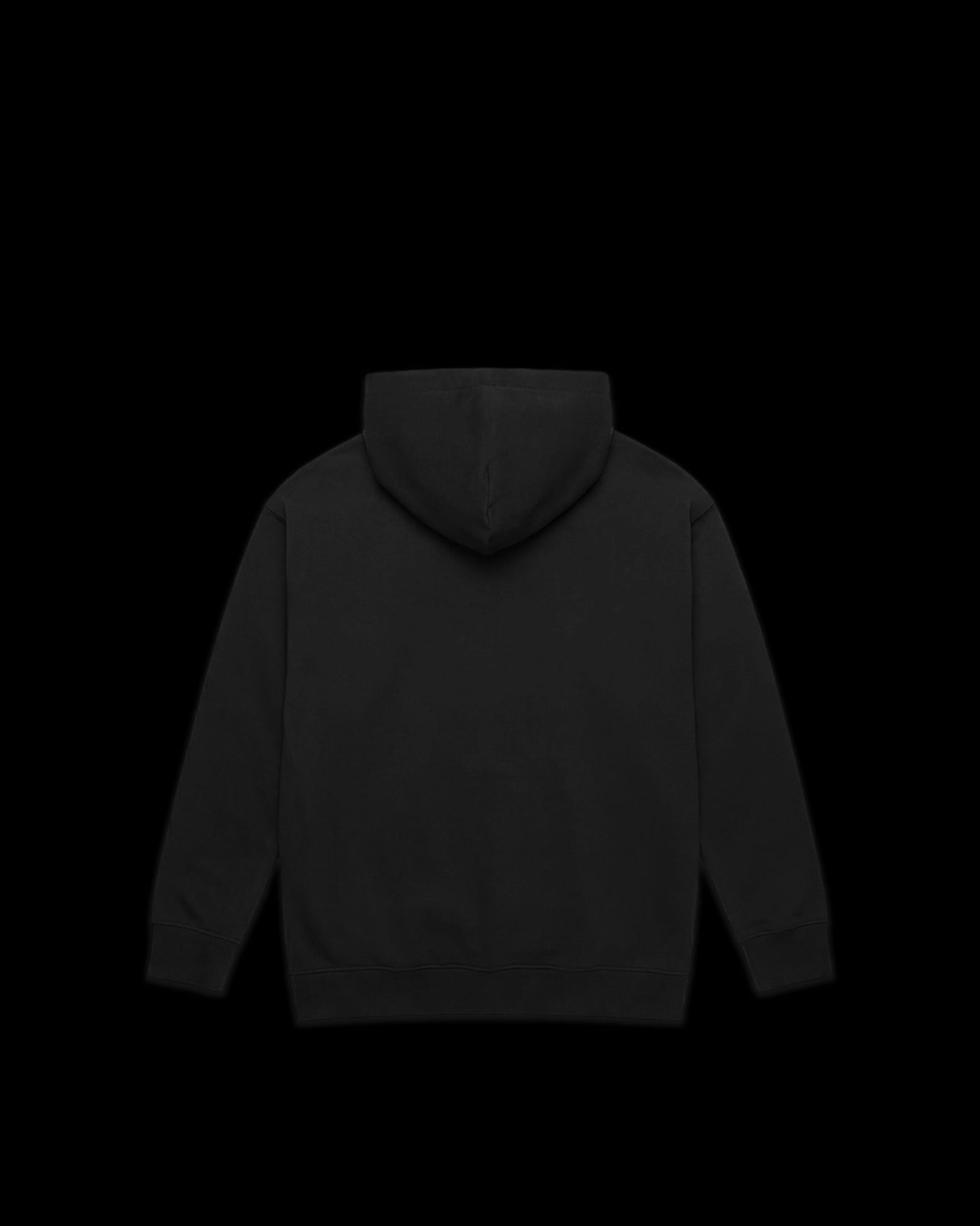 Express AS Colour Relaxed Zipper Hoodie