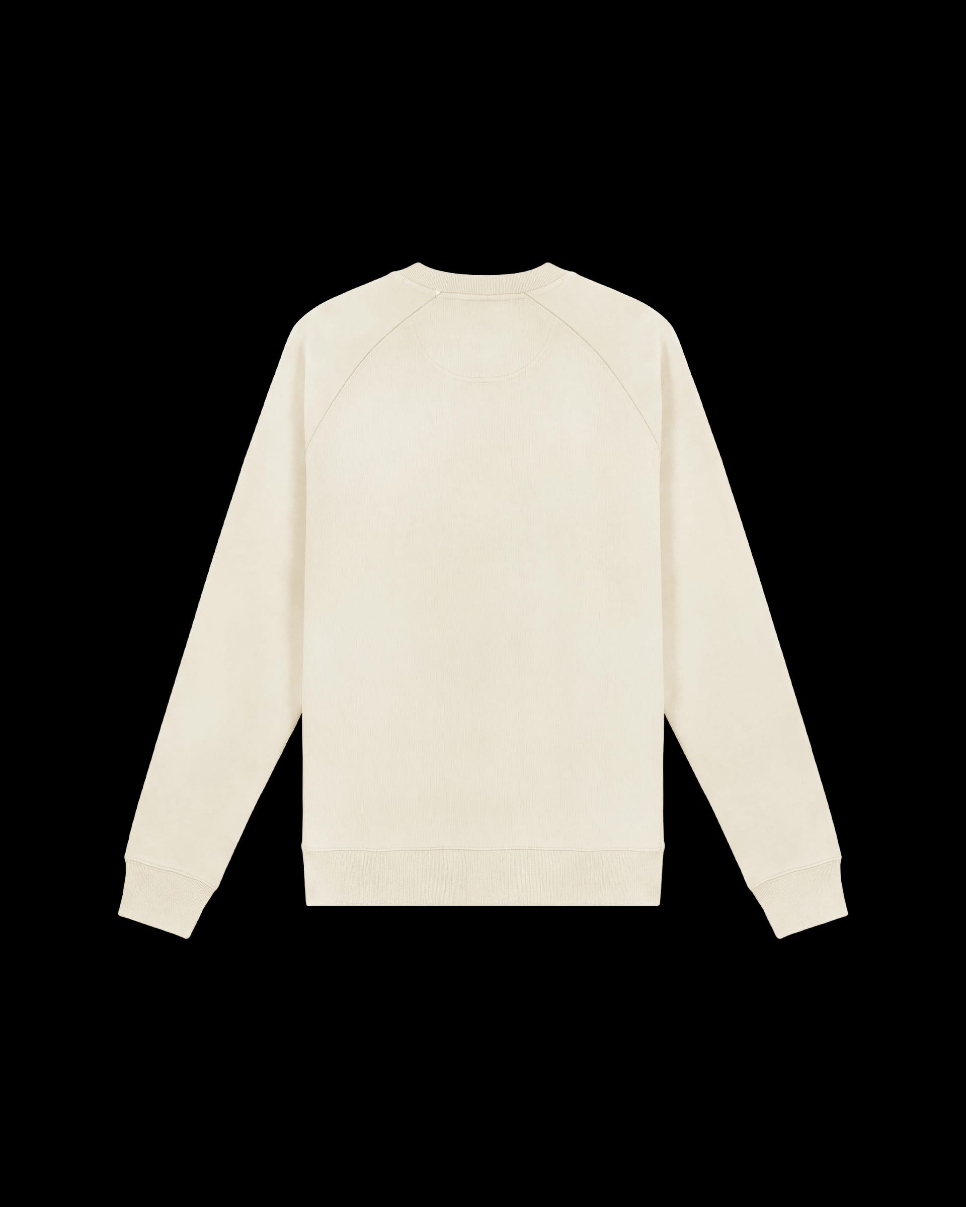 Raglan Sweatshirt