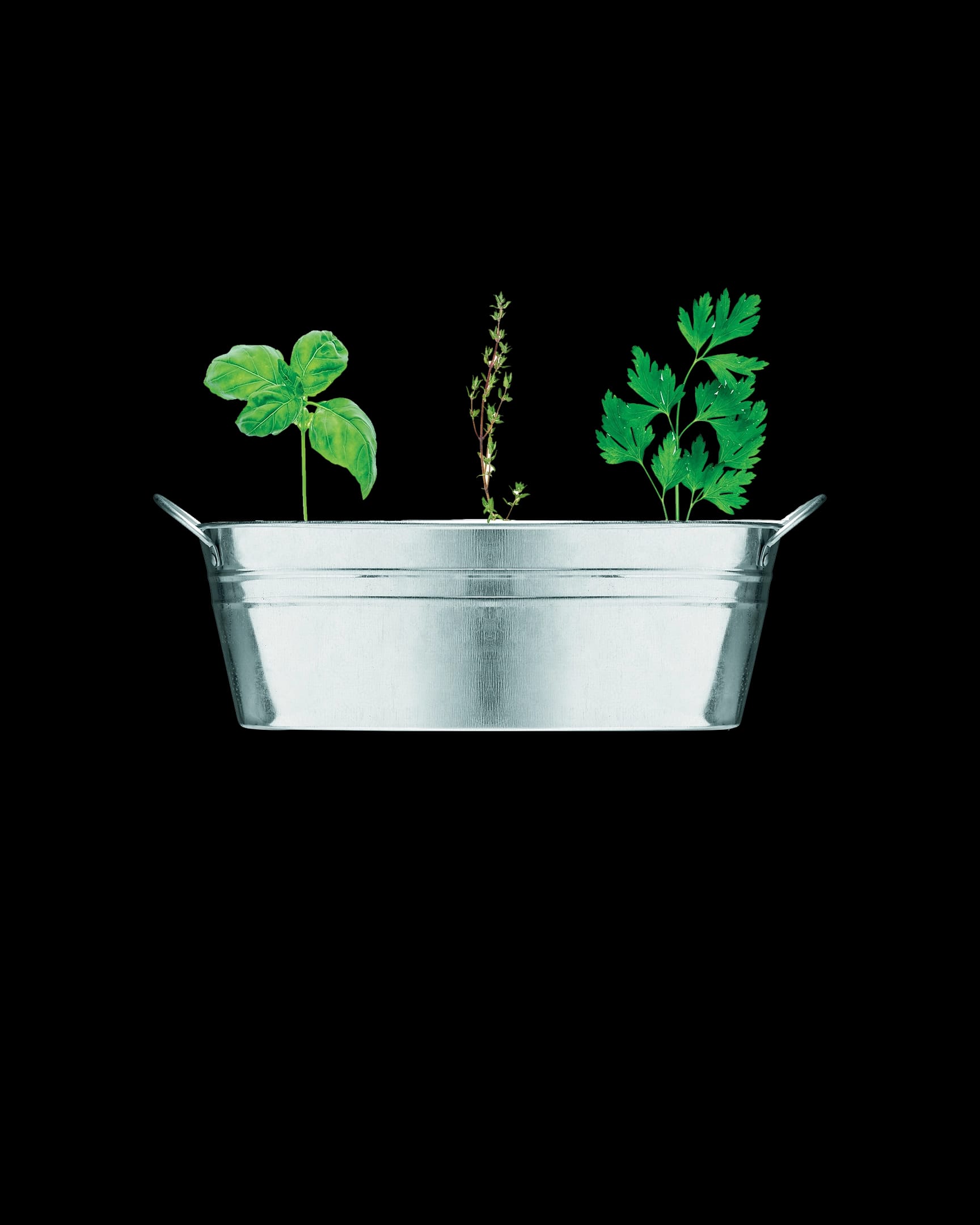 Mix Herb Planter