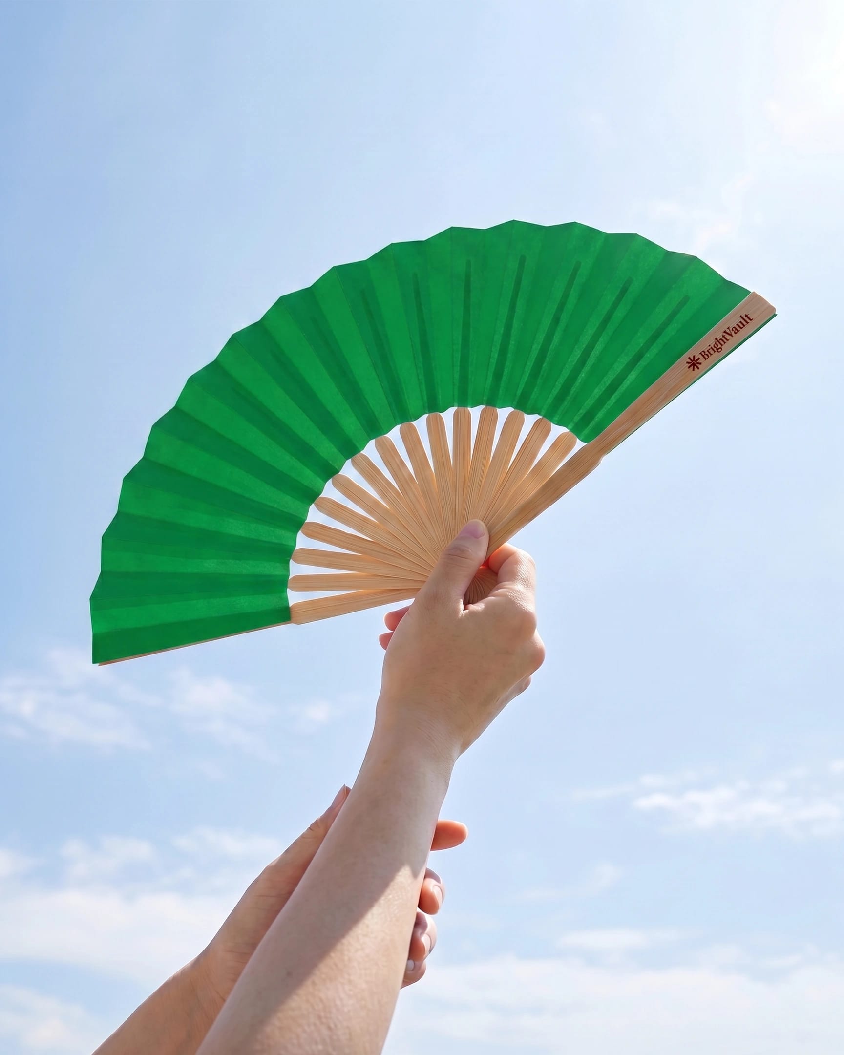 Pride Wooden Fan