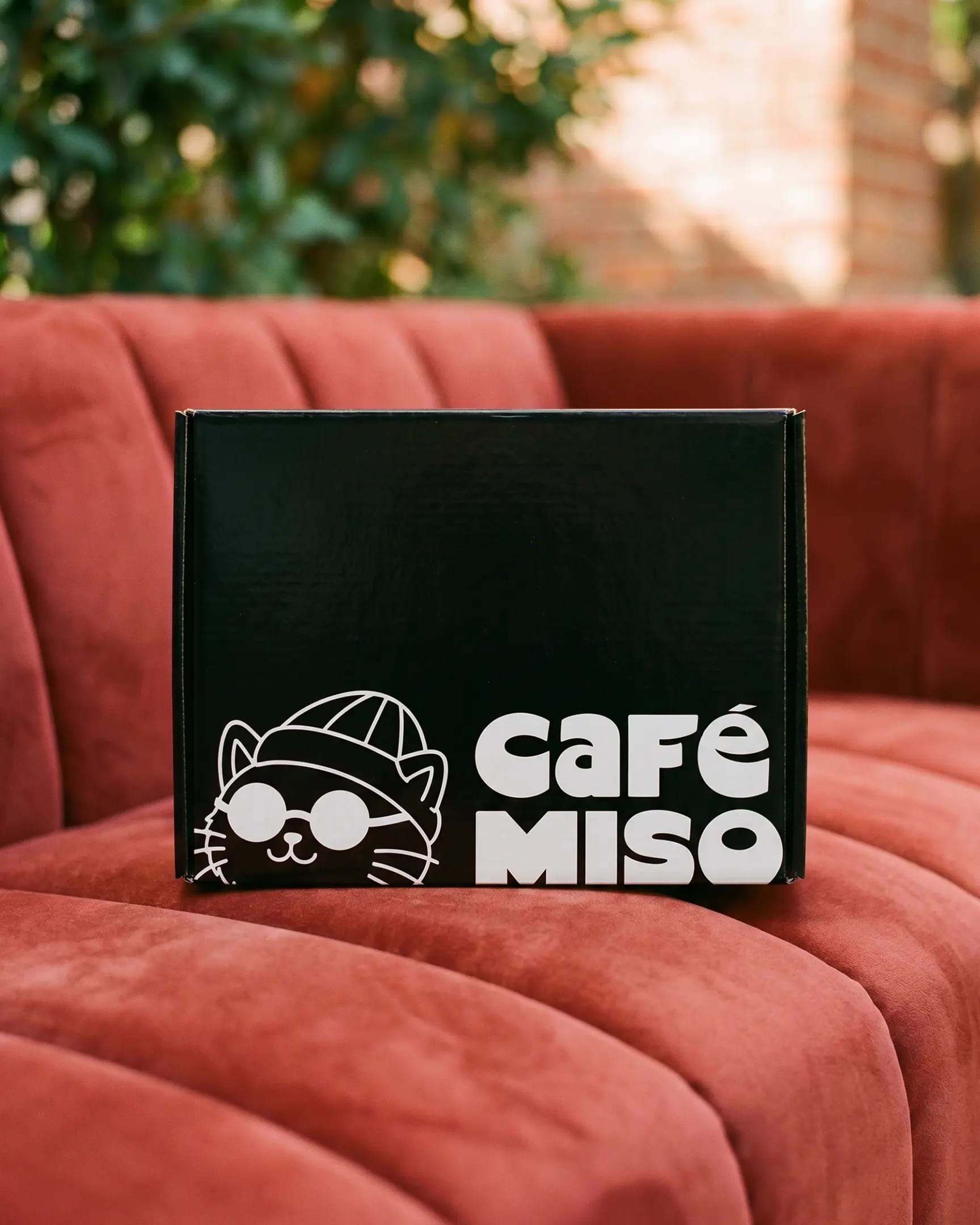Meal Boxes