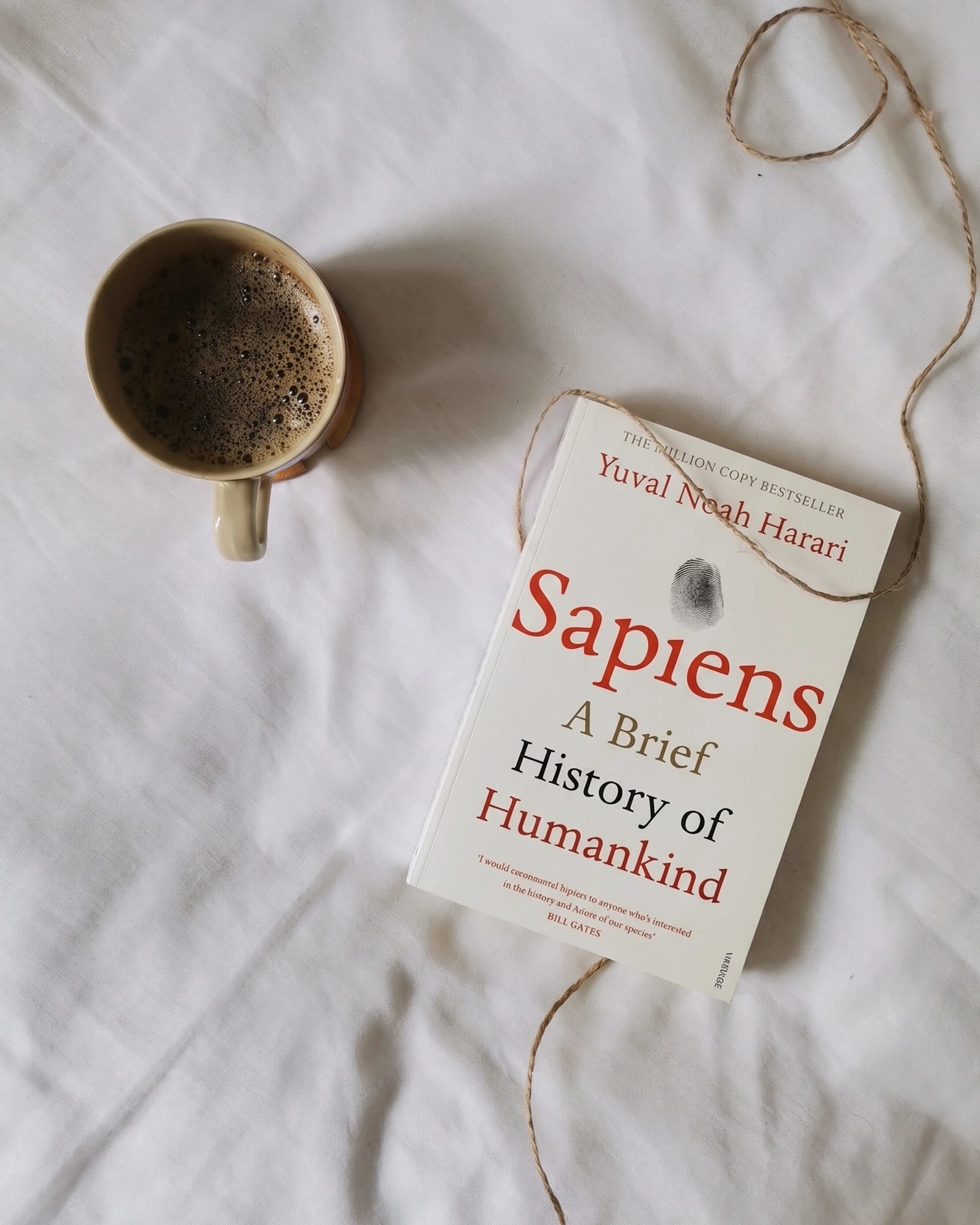 Sapiens: A Brief History of Humankind