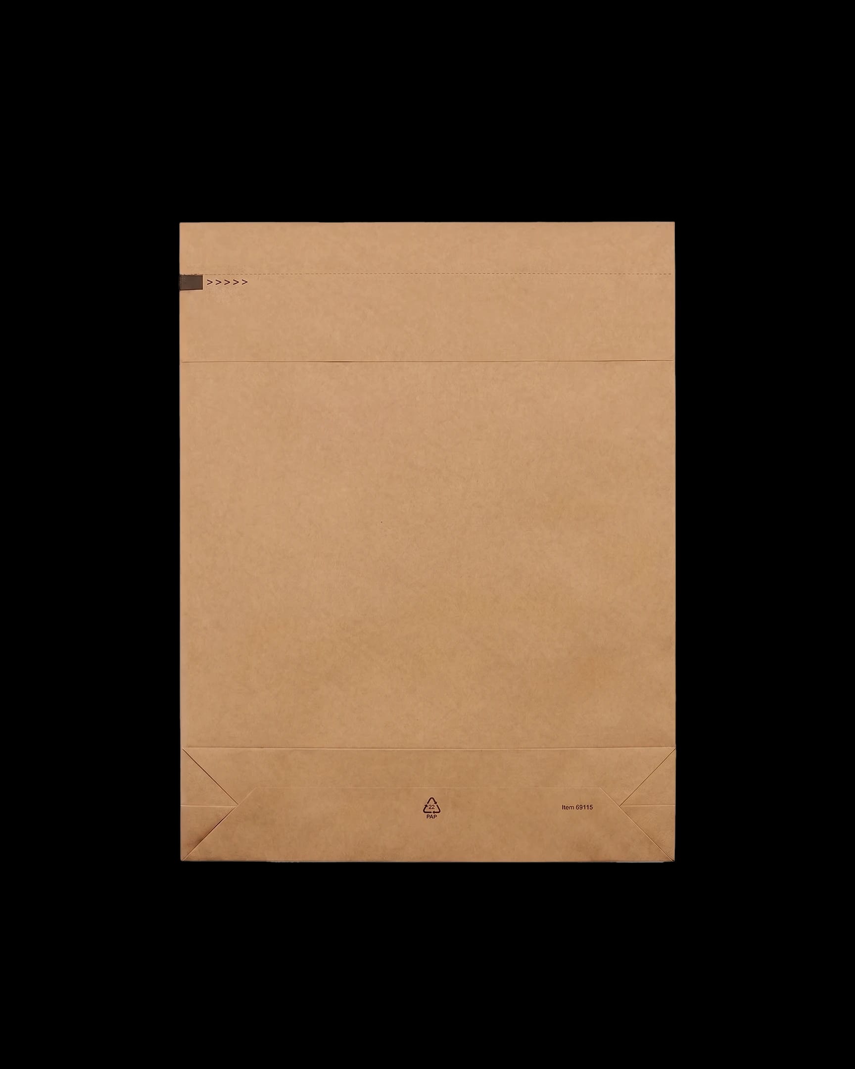 Plain Kraft Mailer Bag