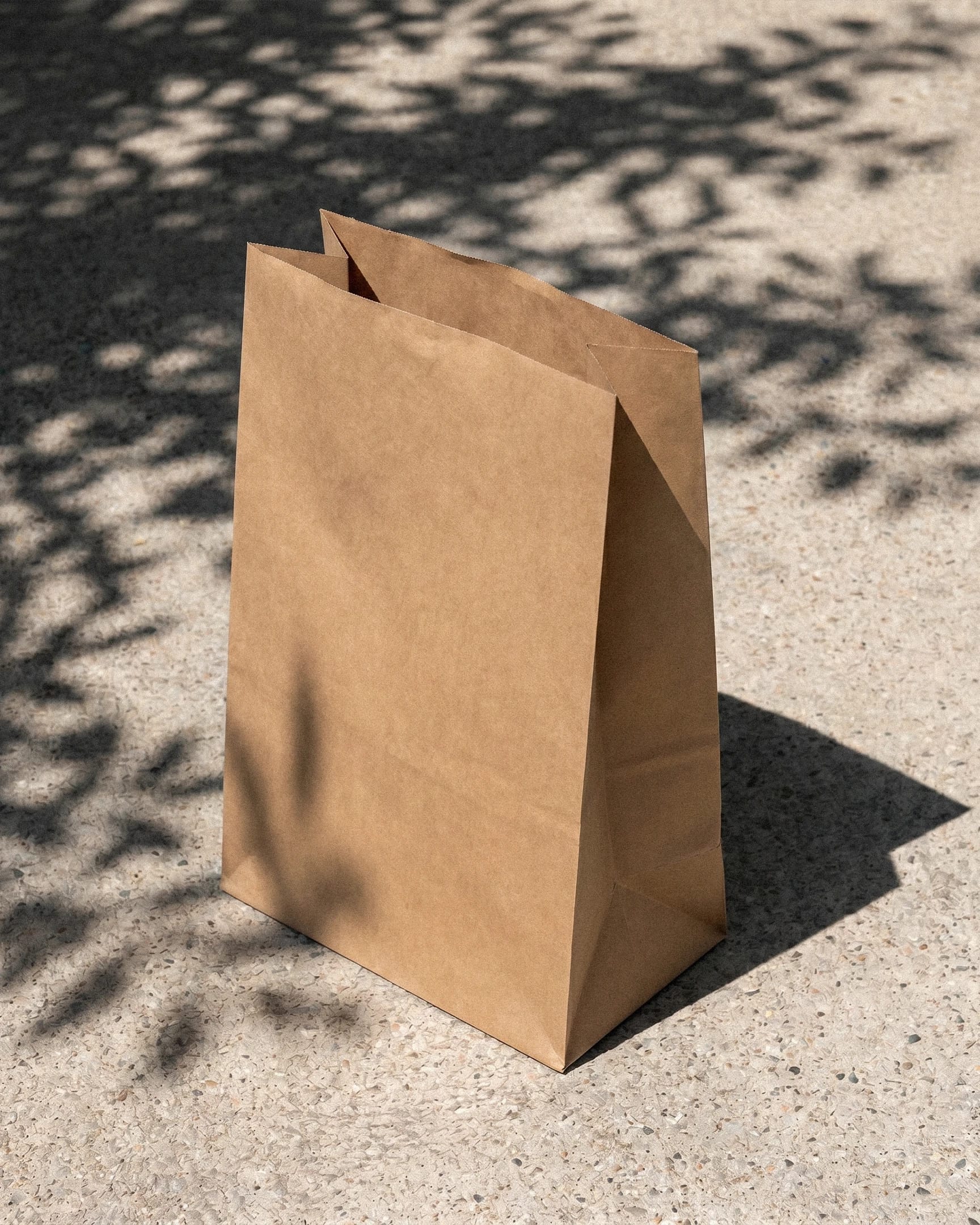 Plain Kraft Mailer Bag