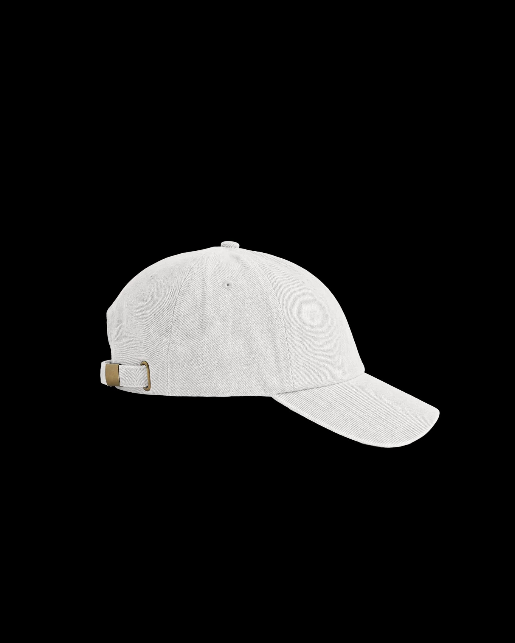 Dad Cap