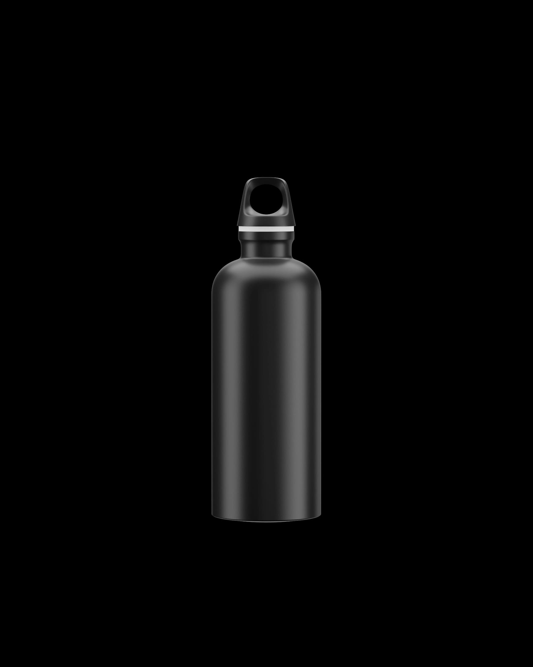 SIGG Traveller Bottle · 20 oz