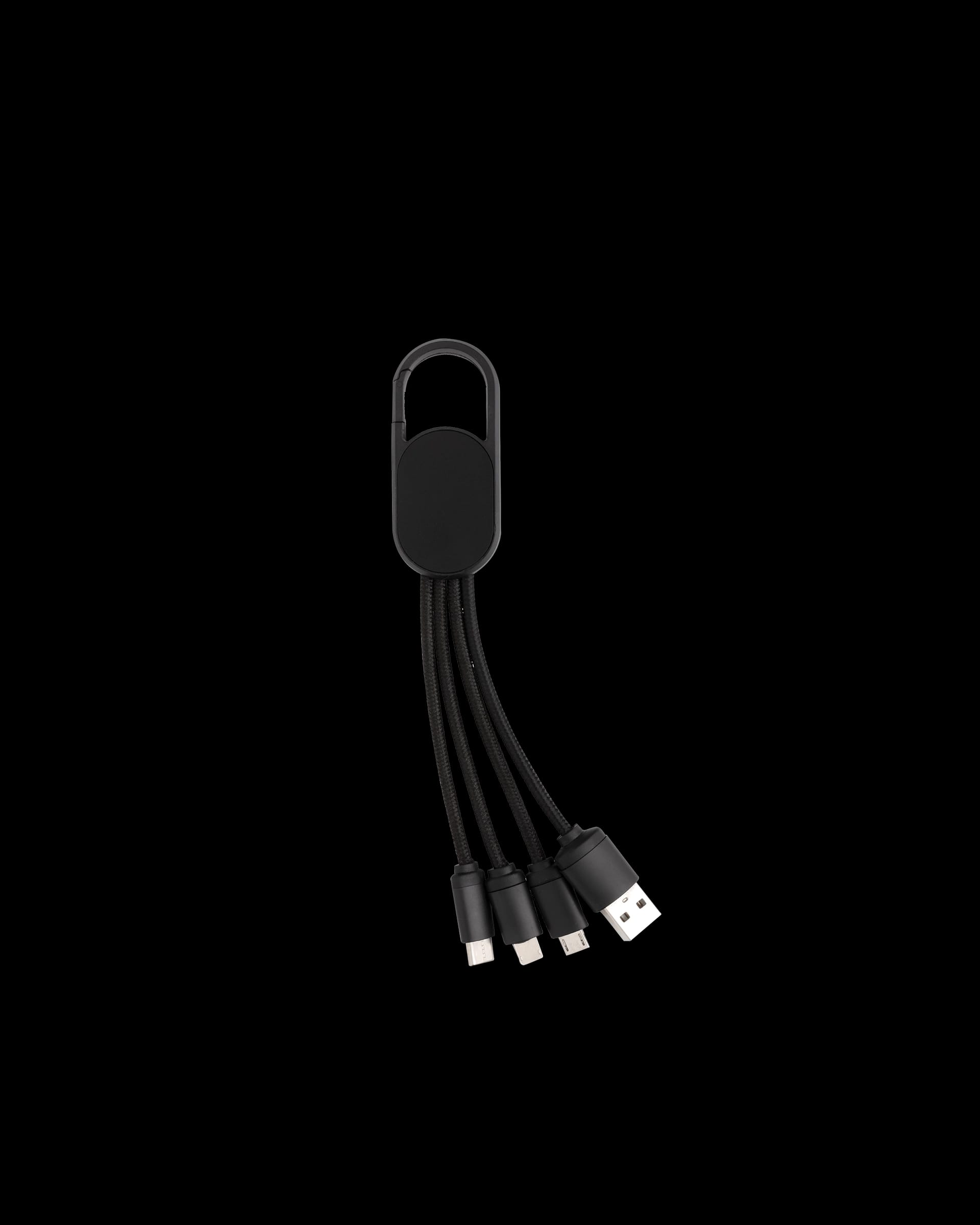 4-In-1 Cable with Carabiner Clip