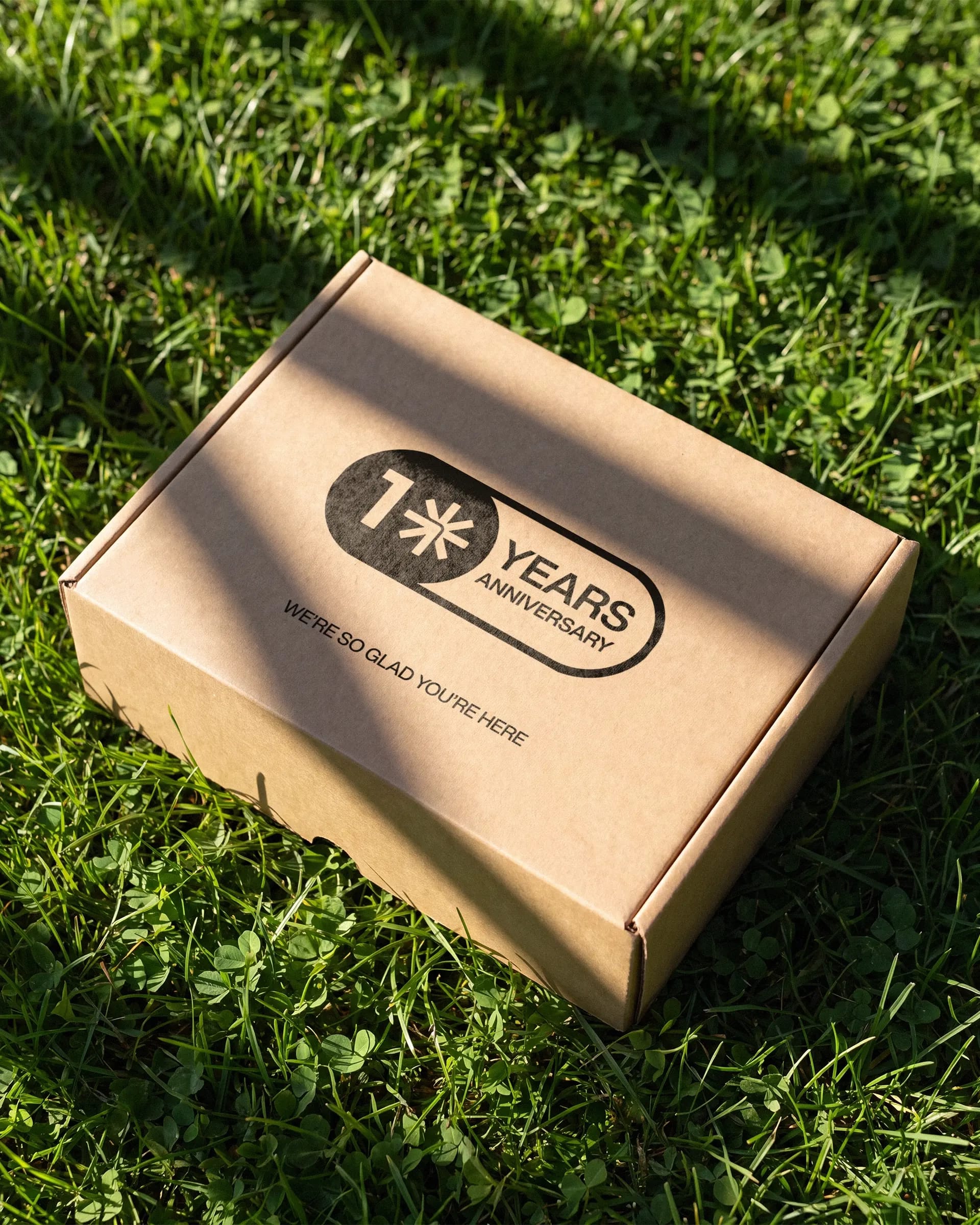 Stamped Mailer box